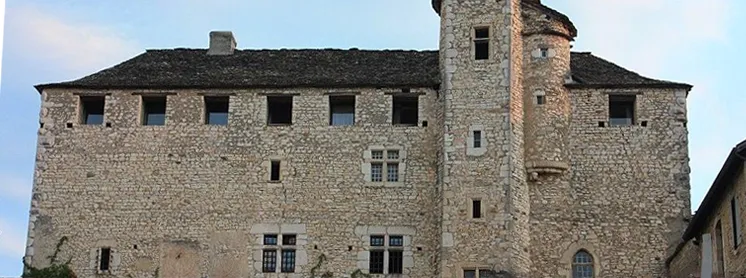 Château de Montagnieu à Soleymieu