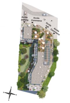 Aperçu du programme neuf L'Orangerie à Colombes (92700) - image 5