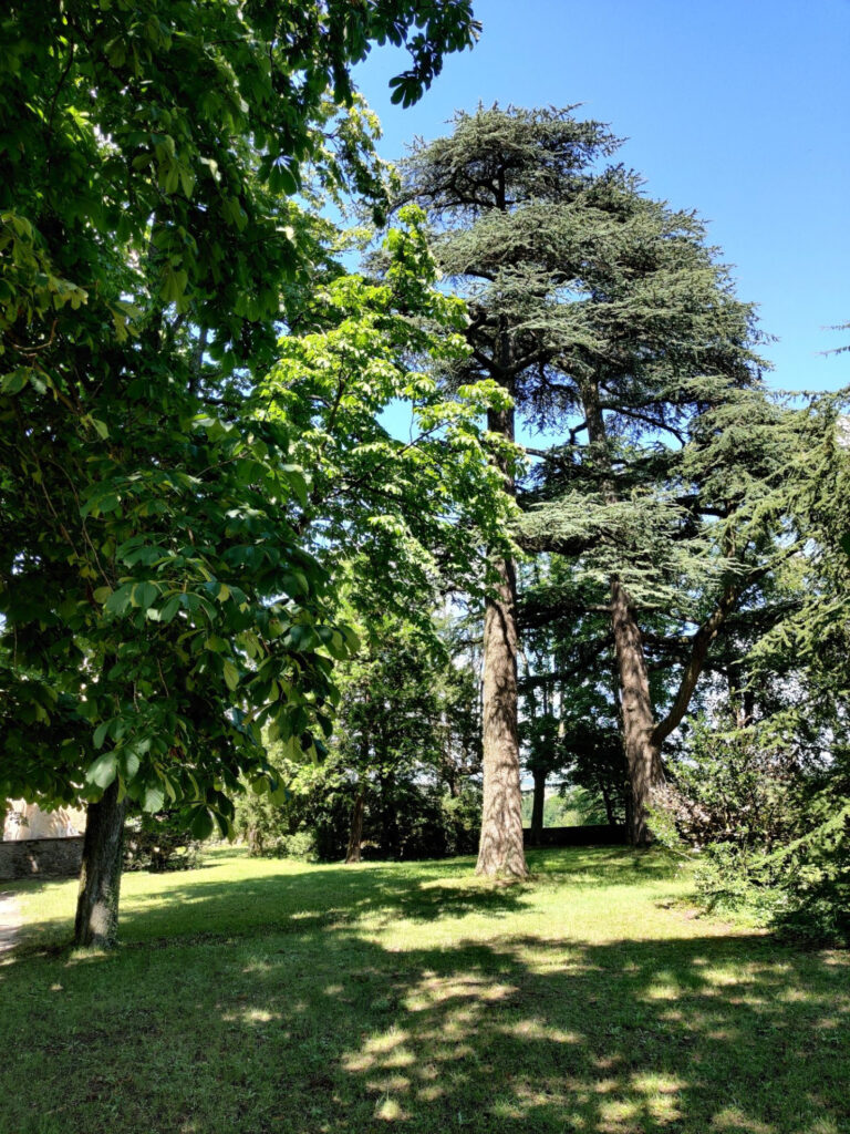 Photo du bien immobilier ancien CADRE D&rsquo;EXCEPTION