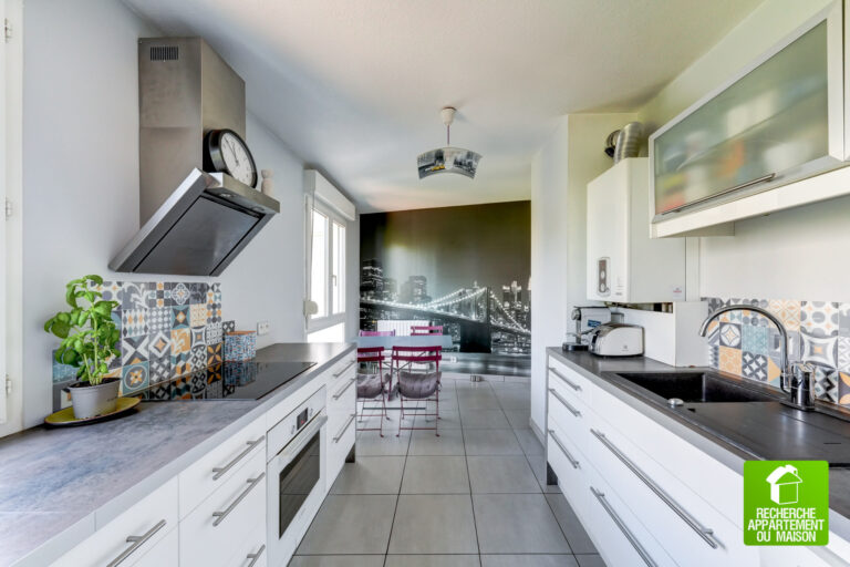 Photo du bien immobilier ancien LYON 7 – DERNIER ÉTAGE – DUPLEX T4 110m2 – LOGGIA & TERRASSE