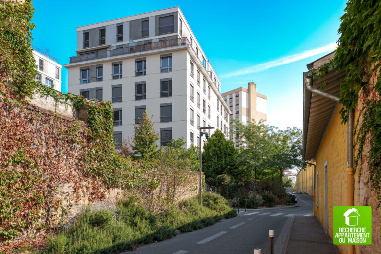Photo du bien immobilier ancien Grand T2 lumineux de 58 m2 au pied du Parc Blandan (Lyon 7ᵉ)