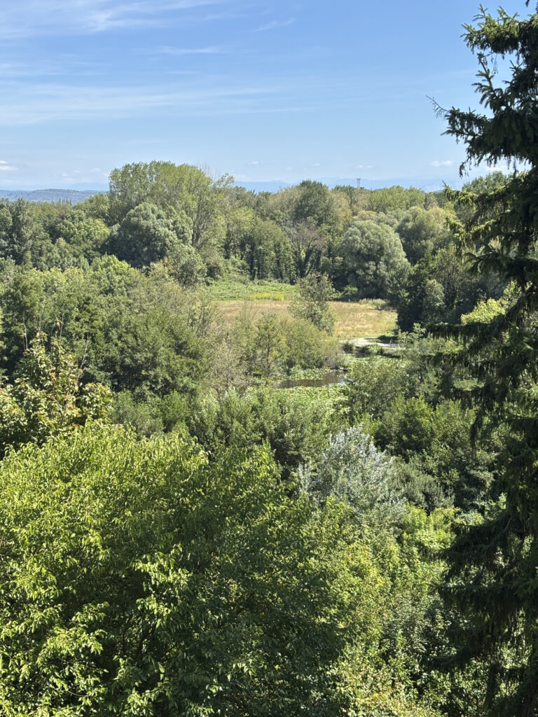 Photo du bien immobilier ancien Appartement d&rsquo;exception d&rsquo;environ 100 M2