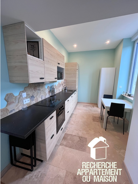 Photo du bien immobilier ancien Appartement meublé 2 pièce(s) 46 m2