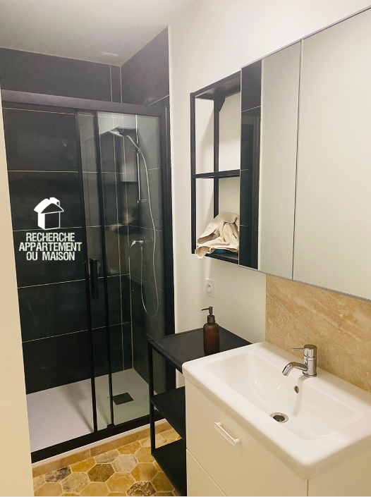 Photo du bien immobilier ancien Appartement meublé 2 pièce(s) 46 m2
