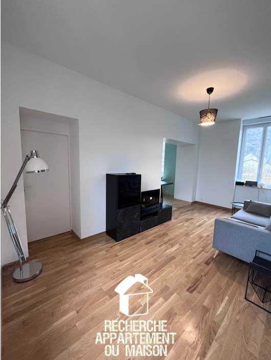 Photo du bien immobilier ancien Appartement meublé 2 pièce(s) 46 m2