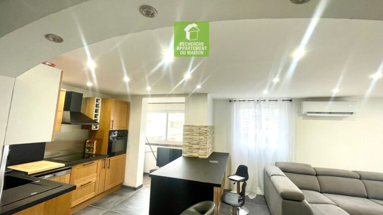 Photo du bien immobilier ancien Appartement 3 pièce(s) La Verpillière