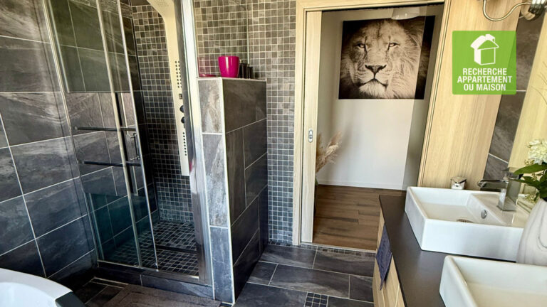 Photo du bien immobilier ancien Maison Les Avenieres Veyrins Thuellin 7 pièce(s) 280m2