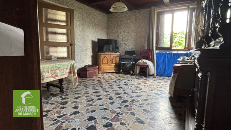 Photo du bien immobilier ancien Maison 4 pièces Chozeau avec superbe terrain