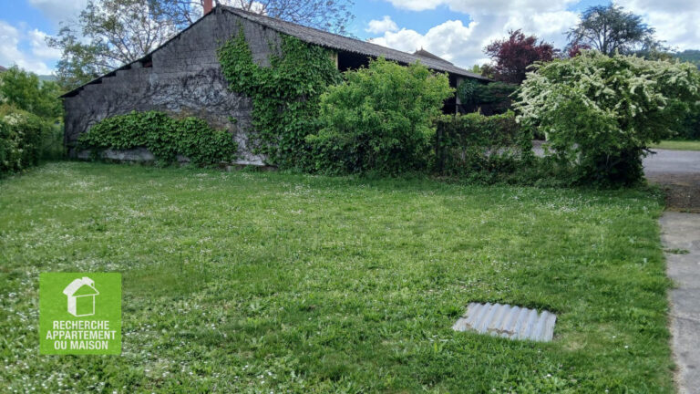 Photo du bien immobilier ancien Maison 4 pièces Chozeau avec superbe terrain
