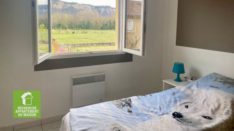 Photo du bien immobilier ancien Maison Hieres Sur Amby