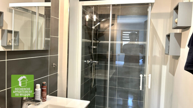 Photo du bien immobilier ancien Appartement 4 pièce(s) Crémieu