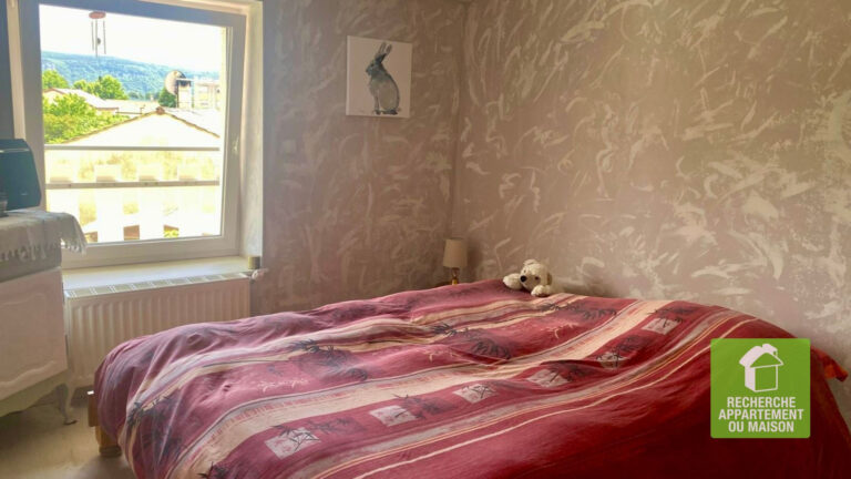 Photo du bien immobilier ancien Maison Lagnieu