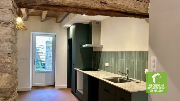 Photo du bien immobilier ancien A LOUER MAISON EXCEPTIONNEL CREMIEU CENTRE