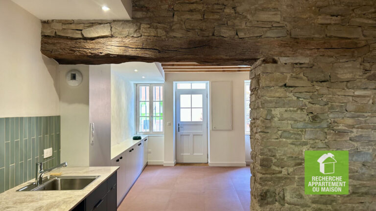 Photo du bien immobilier ancien A LOUER MAISON EXCEPTIONNEL CREMIEU CENTRE