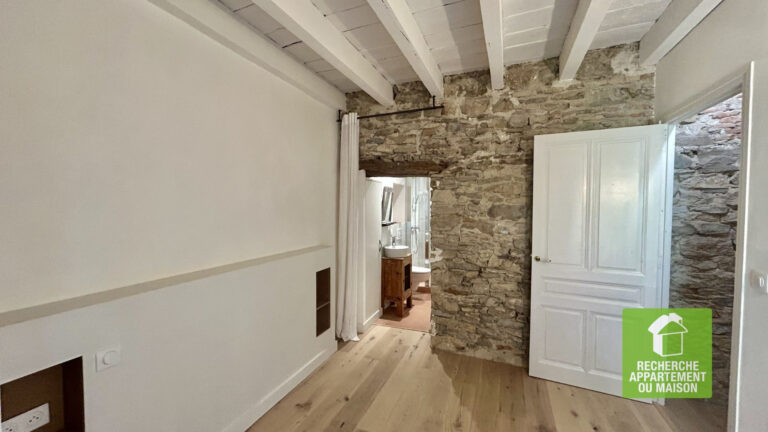 Photo du bien immobilier ancien A LOUER MAISON EXCEPTIONNEL CREMIEU CENTRE