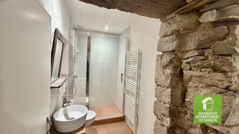 Photo du bien immobilier ancien A LOUER MAISON EXCEPTIONNEL CREMIEU CENTRE