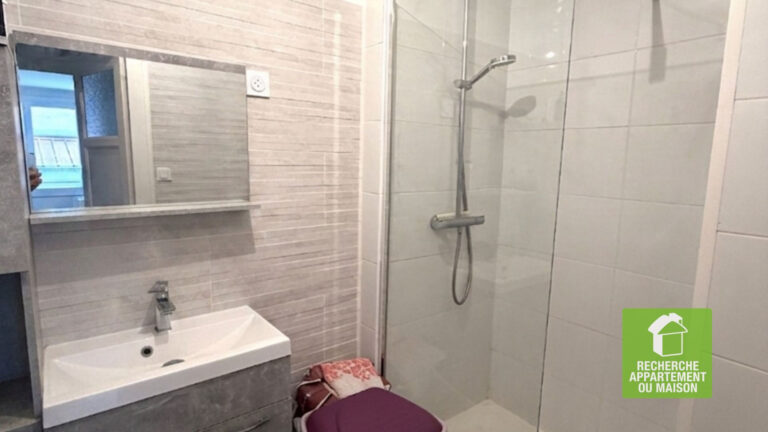 Photo du bien immobilier ancien Appartement Villeurbanne 2 pièce(s) 50 m2