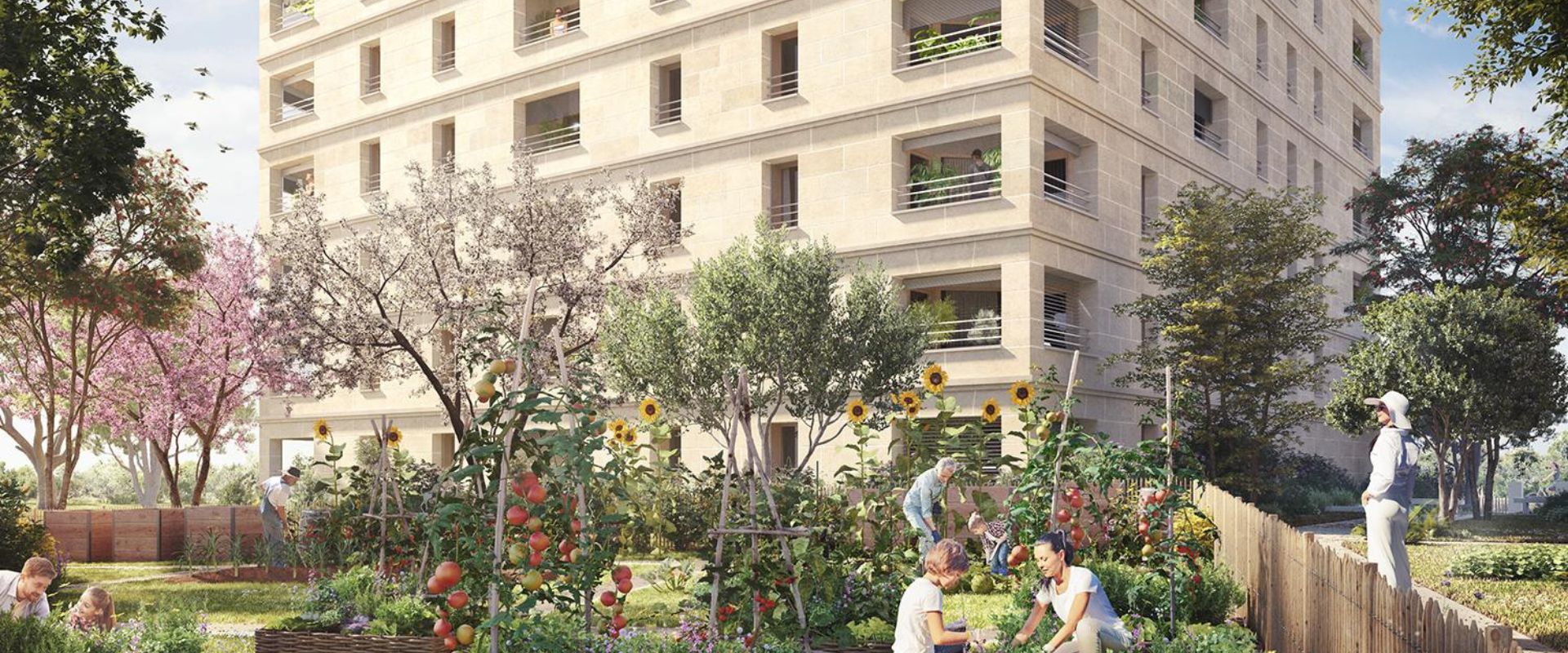 Photo du programme immobilier neuf REFLETS DE PIERRES
