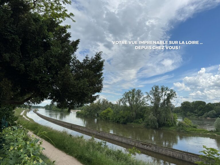 Photo du programme immobilier neuf PÉPITE DE LOIRE