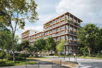 Bien neuf  : BOIS DE NAGOYA