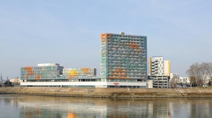 Berges de la Loire****