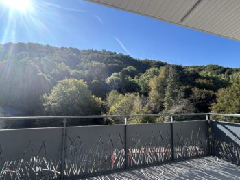 Bien neuf  : DOMAINE DE LA FRANGE VERTE