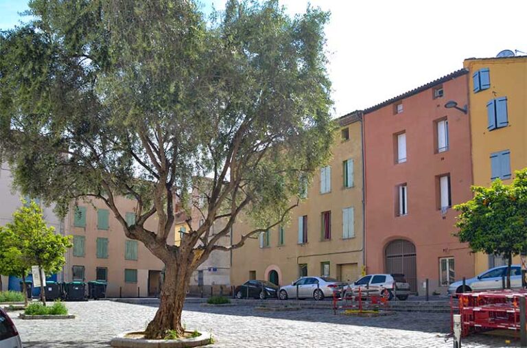 Photo du programme immobilier neuf Saint-François