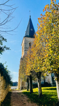 Bien neuf  : CHATEAU DE SAUTOUR